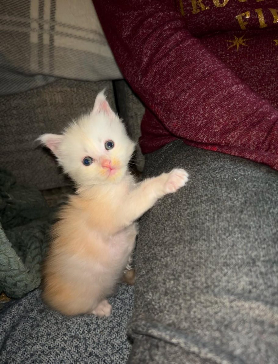 Please can I come up?